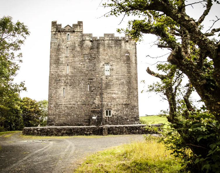 Ballynamona Castle, Ireland
